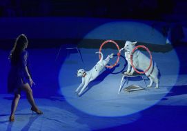 Премьера циркового шоу "Прошлое & будущее"