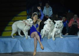 Премьера циркового шоу "Прошлое & будущее"