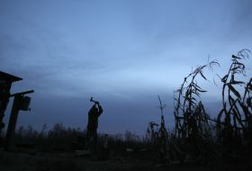 A Ukrainian soldier is cutting firewood at a position near Kranogorivka