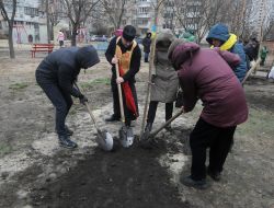 Закладка зеленой Аллее Достоинства и Свободы