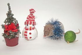 Christmas toys and rat