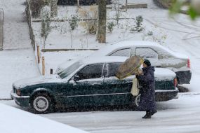 The first snow in Uzhgorod