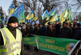 Participants of the action