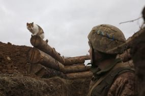 Fighter of the National Guard of Ukraine in positions