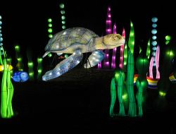 Фестиваль гигантских китайских фонарей на Певческом поле