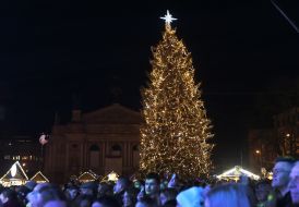 Opening of the main Christmas tree in Lviv