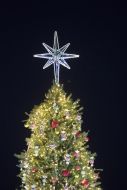 The main New Year tree of the country