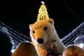 The ceremony of illumination of the main Christmas tree of the country