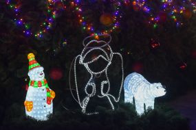 The opening of the main Christmas tree in Zaporizhia