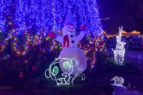 The opening of the main Christmas tree in Zaporizhia