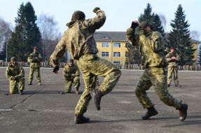Показательные выступления десантников