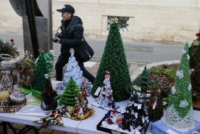 Акція «Збережи життя ялинці» у Львові