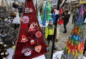 Акція «Збережи життя ялинці» у Львові