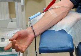 Донор сдает кровь