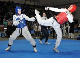 Taekwondo tournament "Children of Ukraine"
