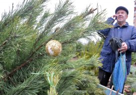 Christmas market in Kharkov