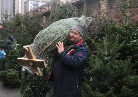Елочный базар в Киеве