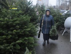 Елочный базар в Киеве