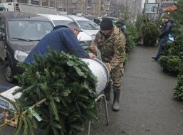 Елочный базар в Киеве