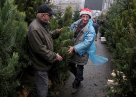 Елочный базар в Киеве