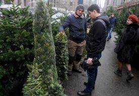 Елочный базар в Киеве