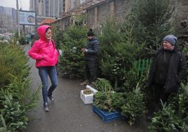 Елочный базар в Киеве