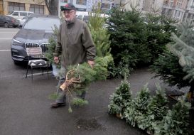 Елочный базар в Киеве