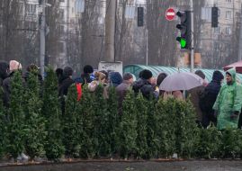 Елочный базар в Киеве