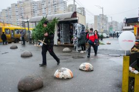A man carries Christmas trees