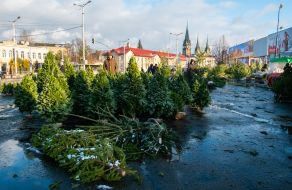 Елочный базар