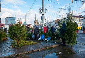 Елочный базар