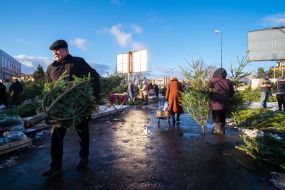 Елочный базар