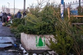 Елочный базар