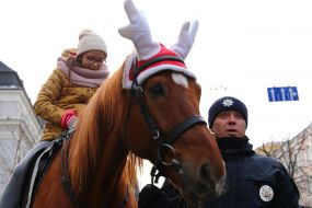 Акция «Рождество с патрульными»
