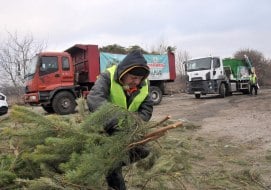 Утилизация новогодних елок в Харькове