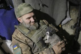 Ukrainian serviceman at a position near Novotoshkivsky