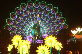 Chinese New year celebration in Kiev