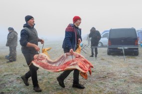 Мясники несут пол туши свиньи