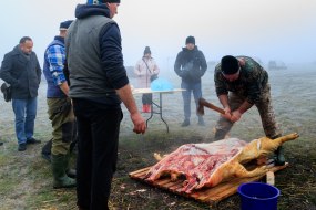 The butchers process the pig carcass