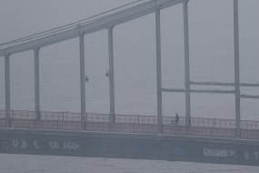Fog in Kiev