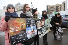 Участники « Антимехового пикета" держат плакаты