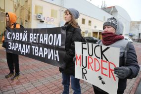 Участники « Антимехового пикета" держат плакаты