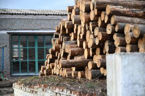 Заготовка древесины на госпредприятии "Остерское лесное хозяйство"