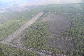 Вид с самолета на территорию Горбачивського лесничества