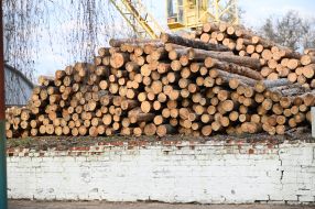 Заготовка древесины на госпредприятии "Остерское лесное хозяйство"