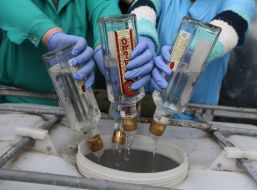 Disposal of confiscated alcoholic beverages