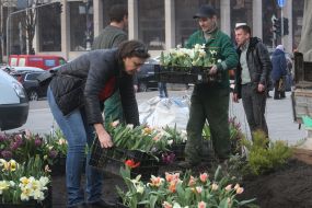 Creating flower beds