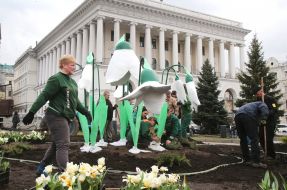 Creating flower beds