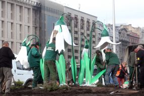 Creating flower beds