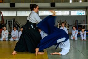 Aikido International Seminar